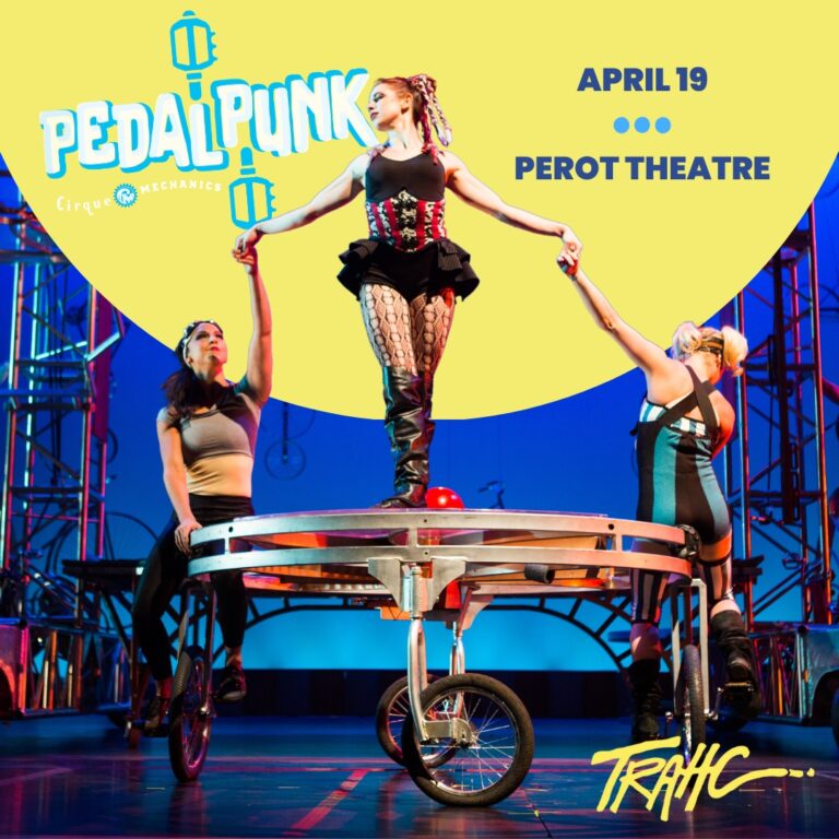 Pedal Punk (2)